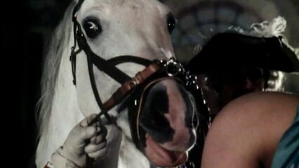 Екатерина и ее дикие жеребцы