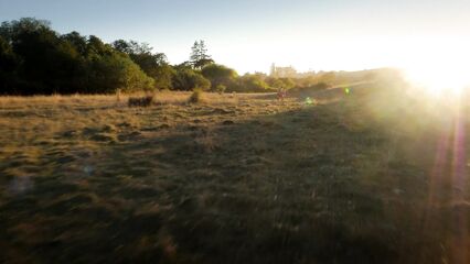 С помощью беспилотника сняли порнофильм Drone Boning