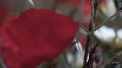 Порно фильмы: Шесть шведок на Ибице