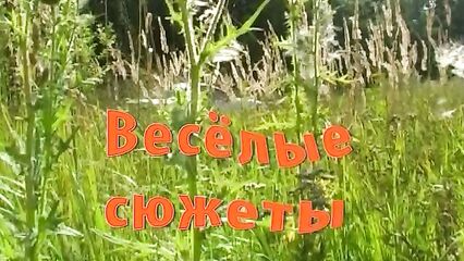 Веселые сюжеты - русский порно фильм смотреть онлайн!