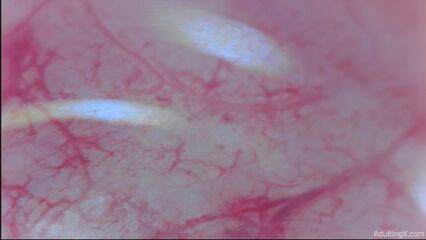 Камера внутри влагалища запечатлела как кончает член