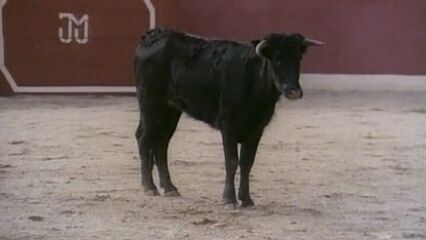 Экстаз Фламенко | Flamenco Ecstasy (с русским переводом)