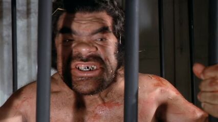 Зверь в горячке | La Bestia in Calore (1977) эрофильм